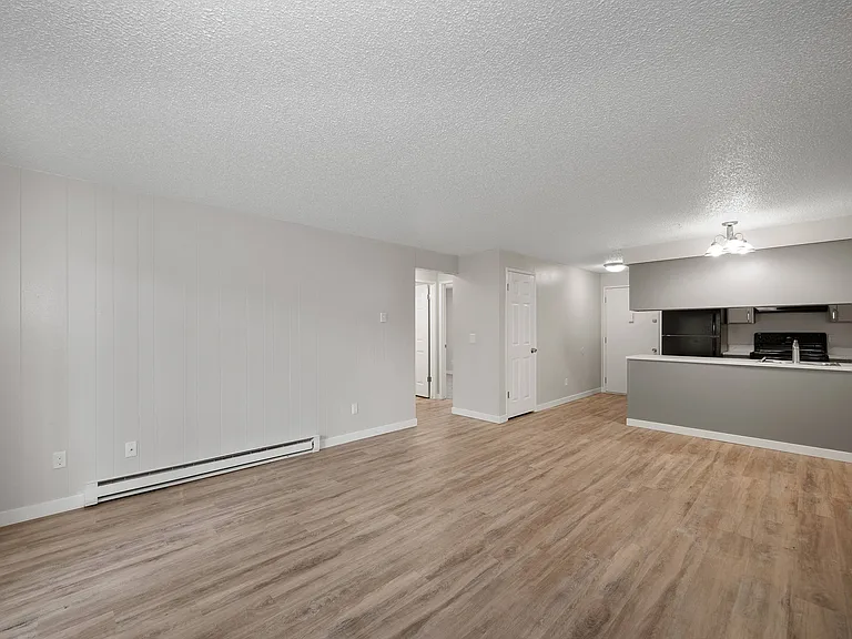 Living Room/Kitchen