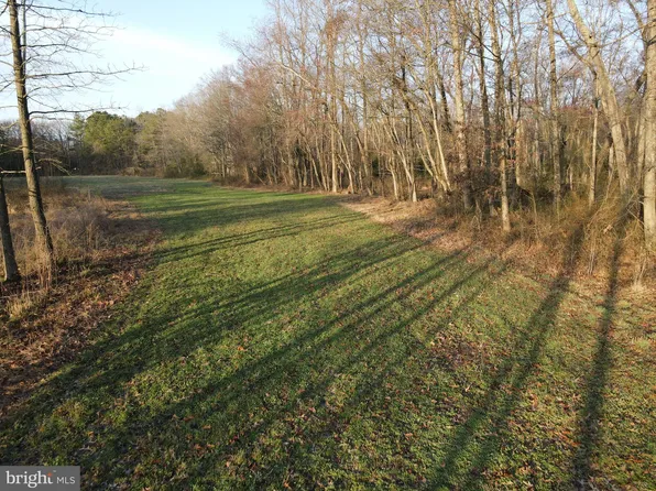 Wharton Rd, Goldsboro, MD 21636