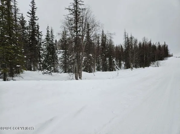 12872 W Purches Creek Rd, Willow, AK 99688