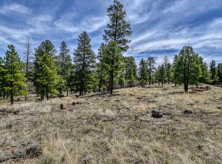 2321 W Blue Willow Rd, Flagstaff, AZ 86001