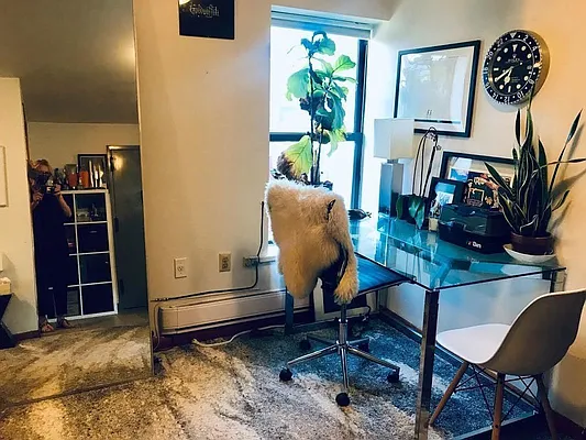 Rented by Compass | media 13