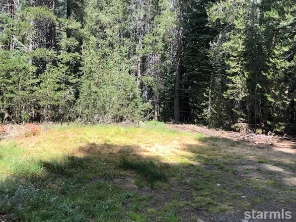 2028 Audrain Way, Echo Lake, CA 95721