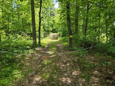 Fs2564d, Remer, MN, 56672