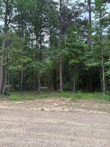 TRACT Four Tranquil Springs Rd, Glenwood, AR, 71943