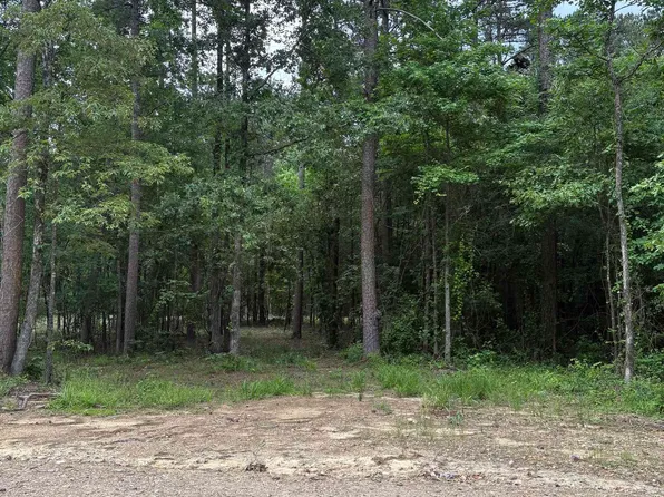 TRACT Four Tranquil Springs Rd, Glenwood, AR 71943