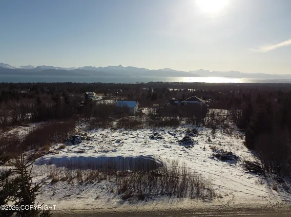 55049 Bonnie Ave, Homer, AK 99603