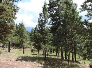 320 Spring Valley Dr, Divide, CO 80814