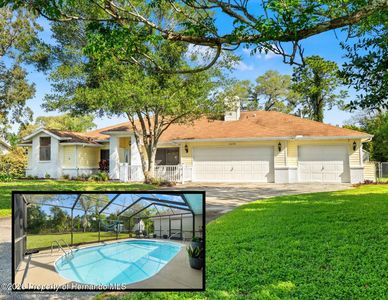13299 Don Loop, Spring Hill, FL, 34609