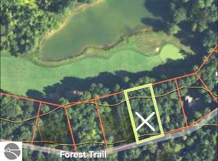 14 Forest Trl, Bellaire, MI 49615