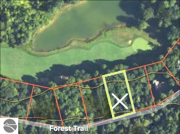 14 Forest Trl, Bellaire, MI 49615