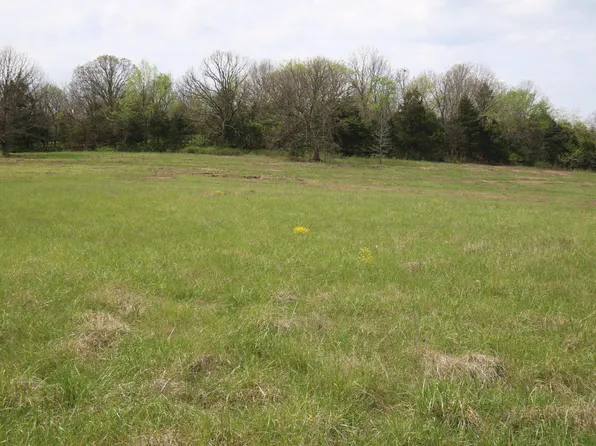 000 River Pass Drive Lot 11, Marshfield, MO 65706