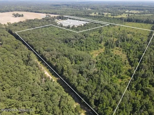 0 Duckworth Rd, Sontag, MS 39665