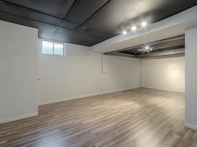 Don't forget the finished basement media room.