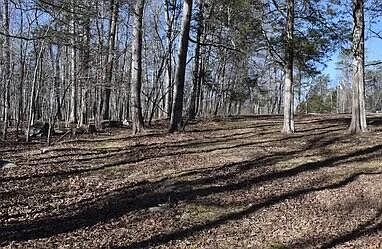 2nd image of 39 SW Omega Park Rd