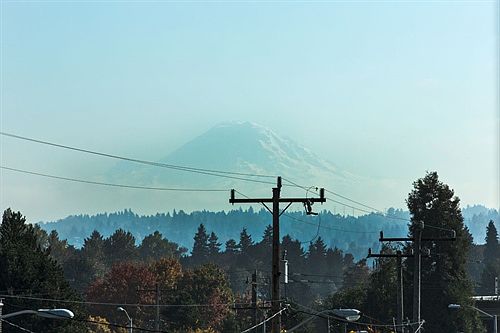 Enjoy views of Mt
        Rainier