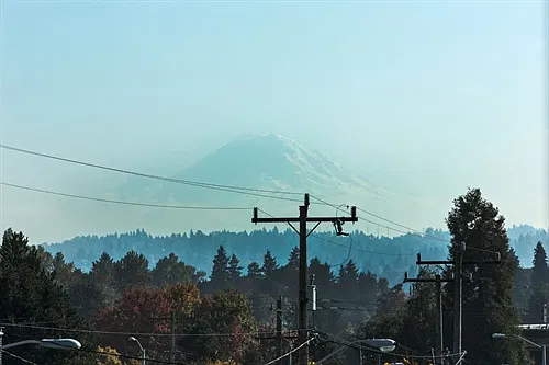 Enjoy views of Mt
        Rainier