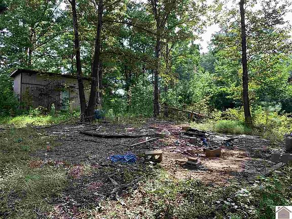 4th image of 125 Cotton Back Rd