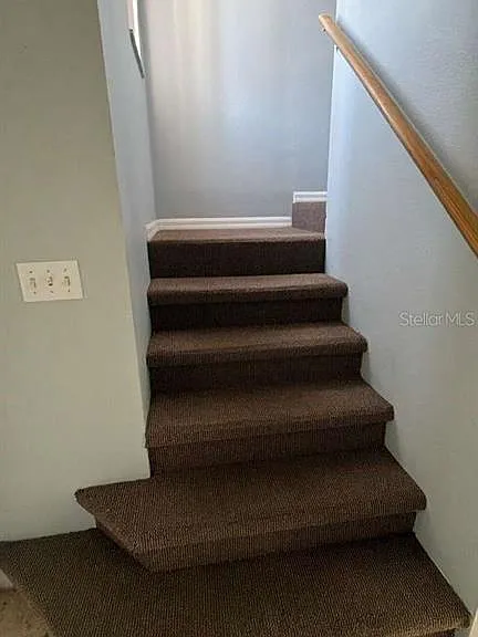 226 Orchid Dr — Photo 11
