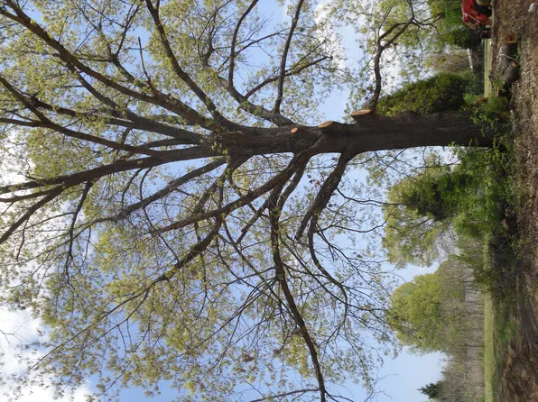 21400 SE 15th St, Harrah, OK 73045