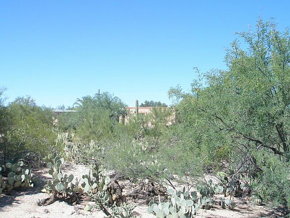 3rd image of 1940 W Omar Dr