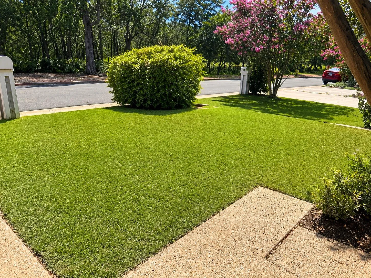 2 bed, 2.0 bath, 1232 sqft, $2,700 — Photo 3