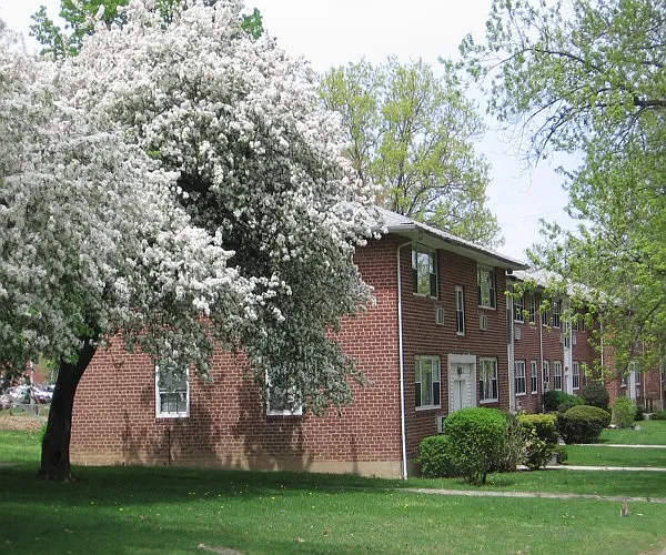 1 bed, 1.0 bath, $2,655 — Photo 3