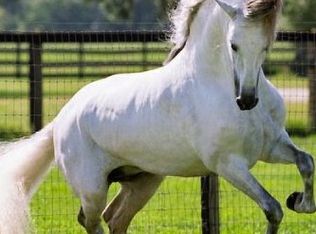 308 Knight Ave, Bessemer, AL 35023