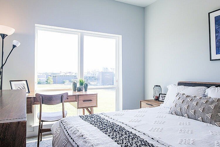 Sunlit desk facing three acres of green space