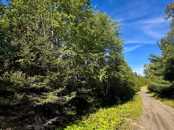 TBD Powers Lake Rd, Hovland, MN 55606