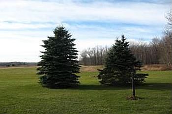 Beautiful 2.62 Acres with woods and farmland views