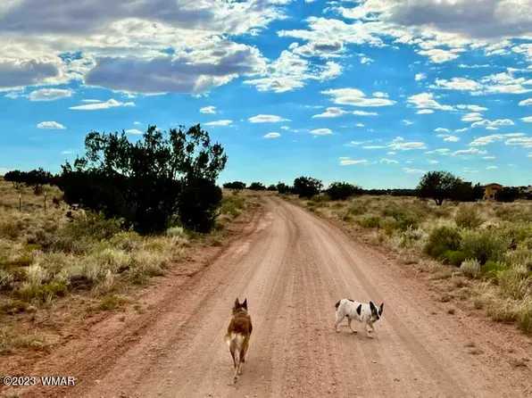 7668 Kasias Trl, Snowflake, AZ 85937