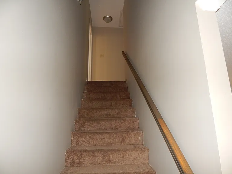 2846 Willow Wood Cir — Photo 12