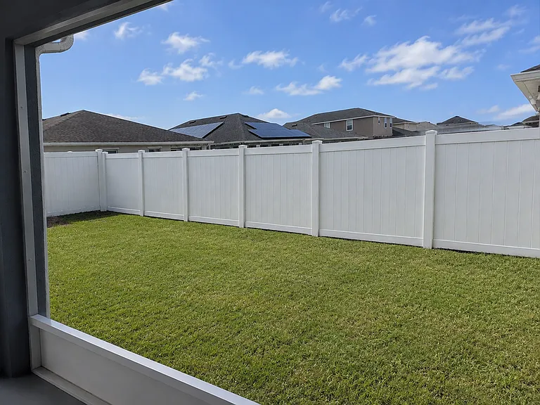 Back yard