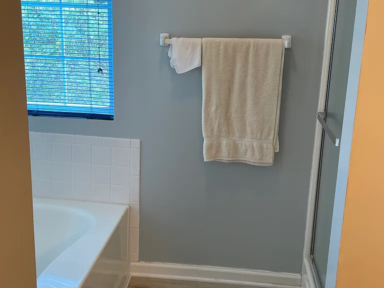 Master Bedroom Bath 2