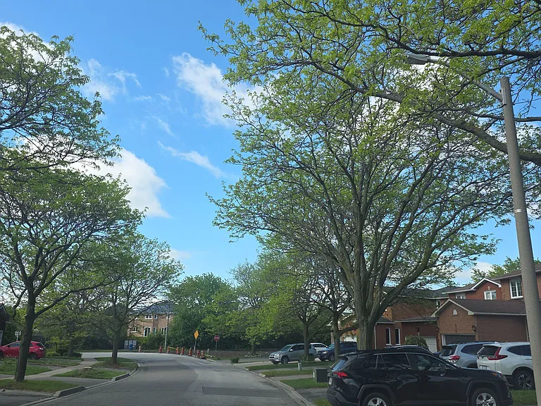 14 Tina Ct #2 — Photo 17