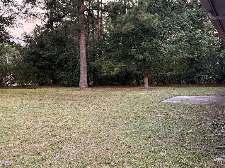 100 Angie St — Photo 4