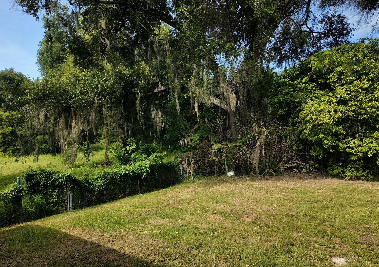 Spacious 4BR/1BA Dade City Home with Huge Backyard! — Photo 4