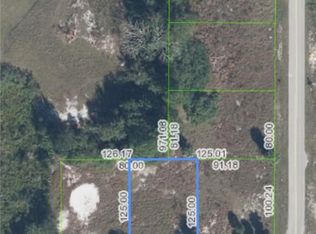 110 Dozier Ave, Sebring, FL 33875