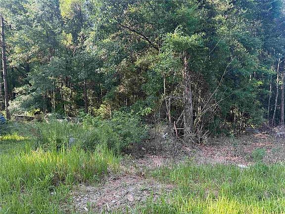 5th image of 9050 Rice Creek Rd