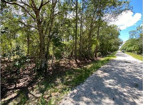 1st image of 28085 CHRYSALIS DRIVE LOT 21,22