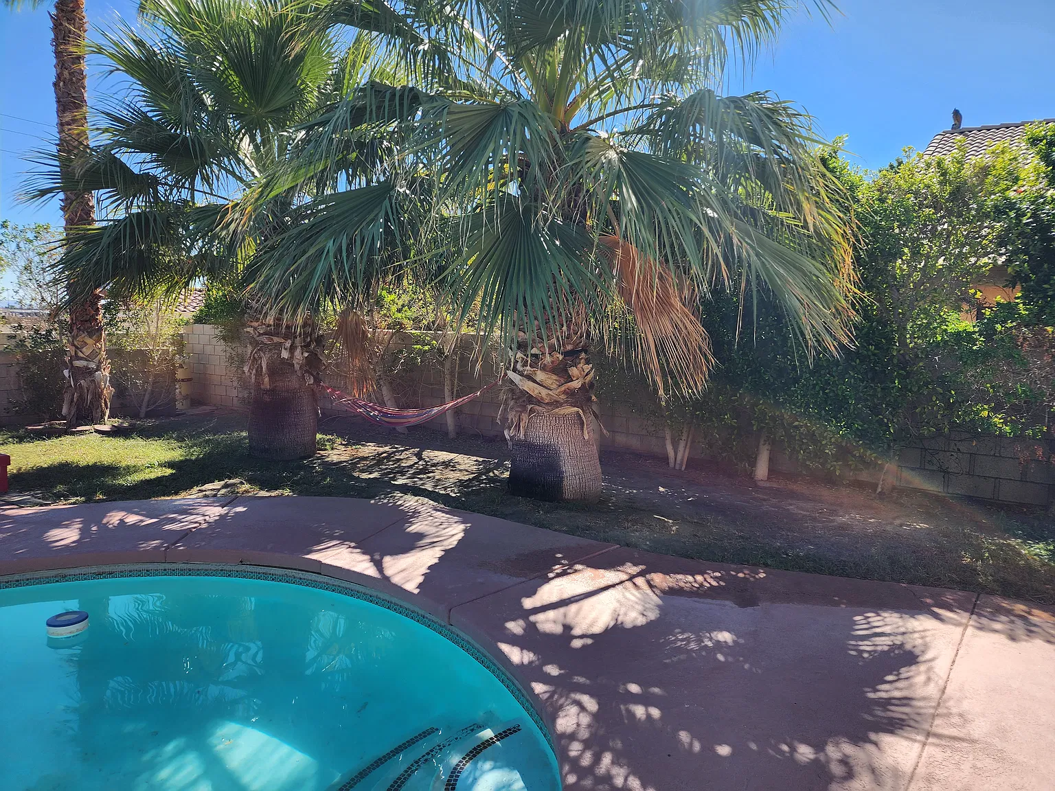 3 bed, 2352 sqft, $3,850 — Photo 4