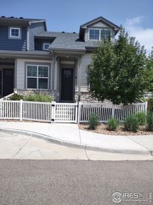 8482 Cromwell Dr #6, Windsor, CO, 80528