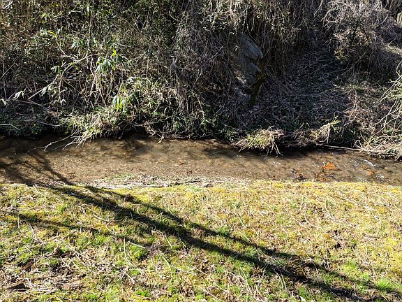 Small creek in Backyard