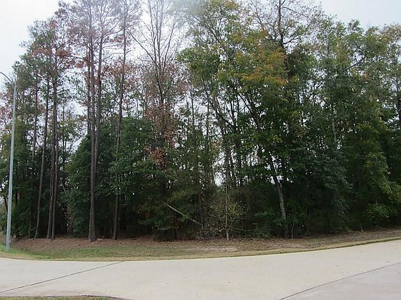 2nd image of 17427 Lakewood Glen Ct