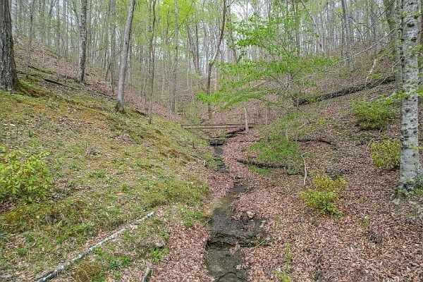 55th image of this home