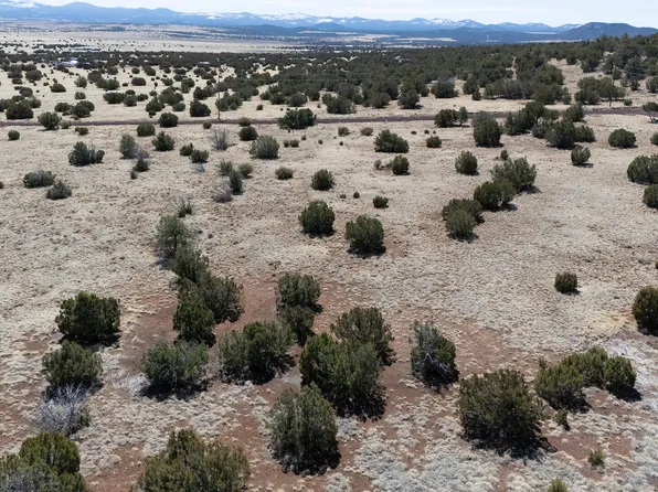 75 County Road 8012, Concho, AZ 85924