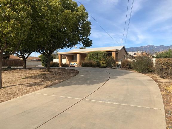 Front Yard Driveway