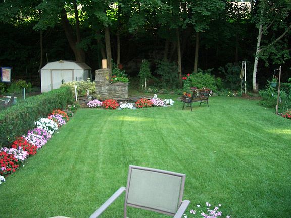 Backyard2
