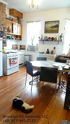 Rented by Brooklyn Real Estate Services | media 15