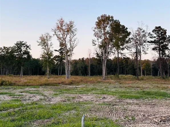 16425 Peacock Dr, Walker, LA 70785